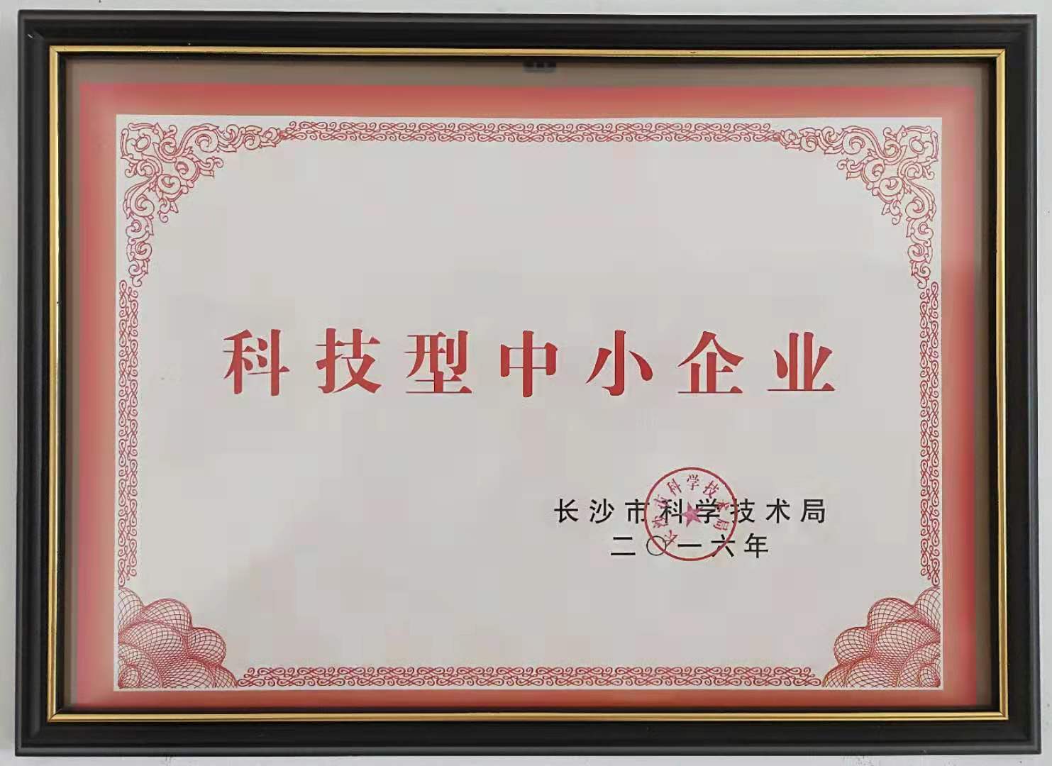 科技型中小企业